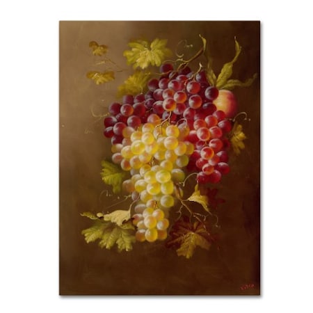 Rio 'Still Life With Grapes' Canvas Art,18x24